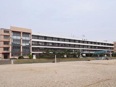 제천중앙초등학교 썸네일 이미지