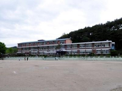 금성초등학교 썸네일 이미지