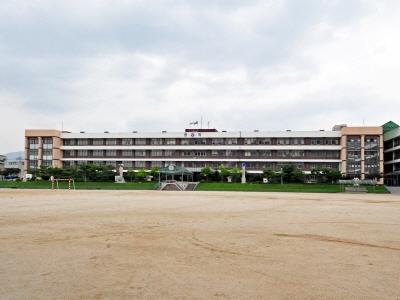 제천중앙초등학교 썸네일 이미지