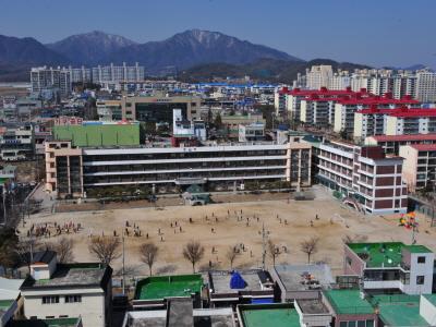 제천중앙초등학교 전경 썸네일 이미지