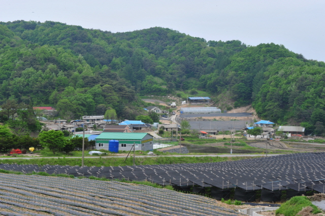 활산리