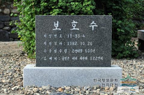 대표시청각 이미지