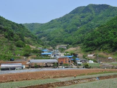 장선리 썸네일 이미지