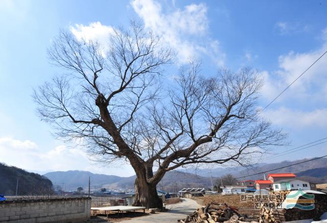 대표시청각 이미지