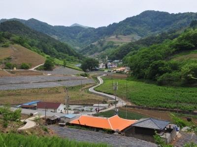 수리 썸네일 이미지