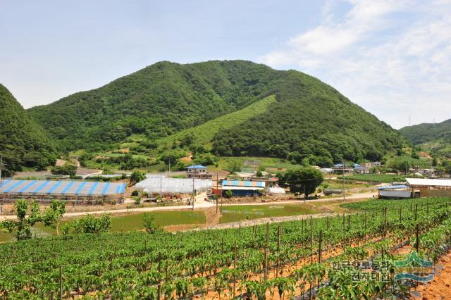 대표시청각 이미지