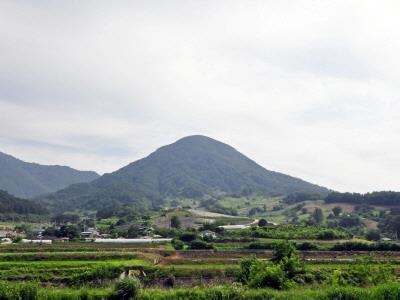 어래산 전경 썸네일 이미지