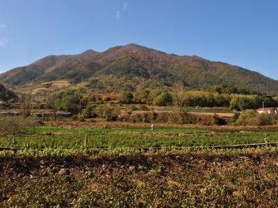 매두막산 전경 썸네일 이미지
