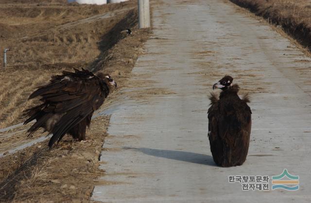 대표시청각 이미지