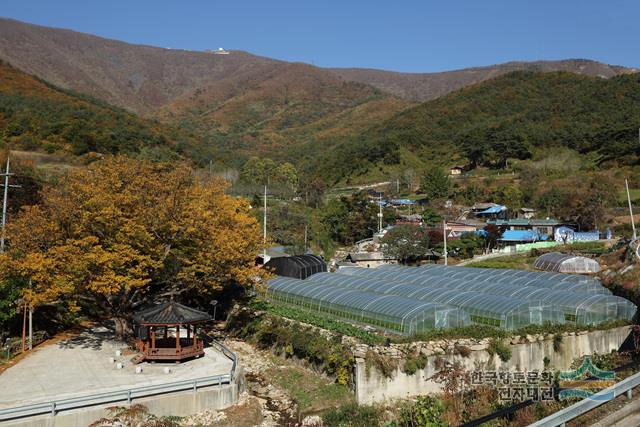 대표시청각 이미지