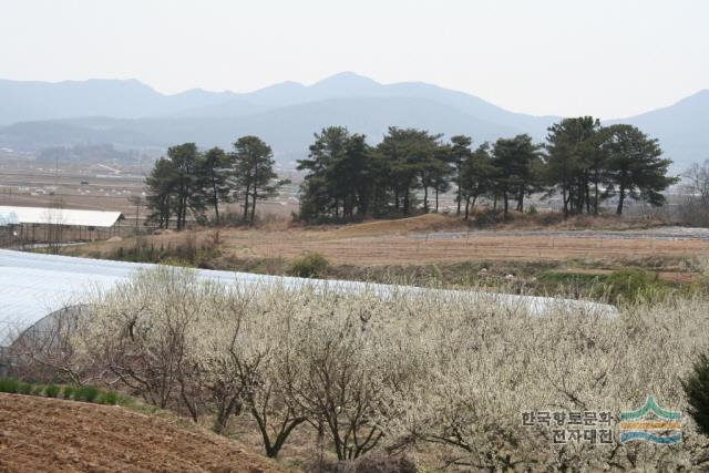 대표시청각 이미지